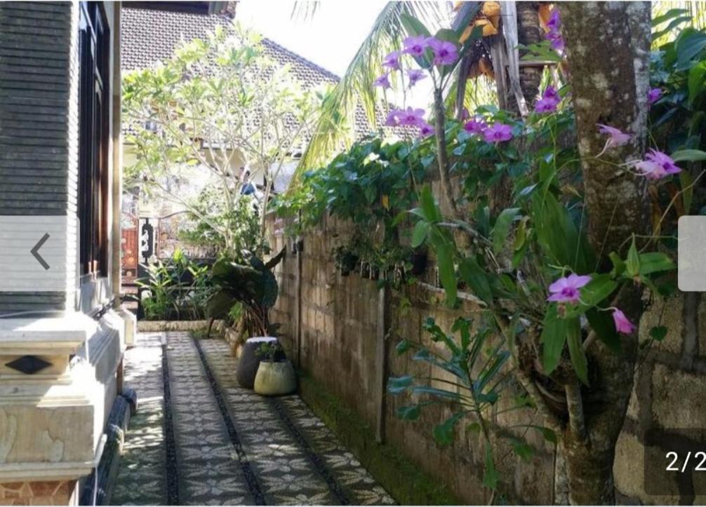 Kuwera Homestay Batununggul Buitenkant foto